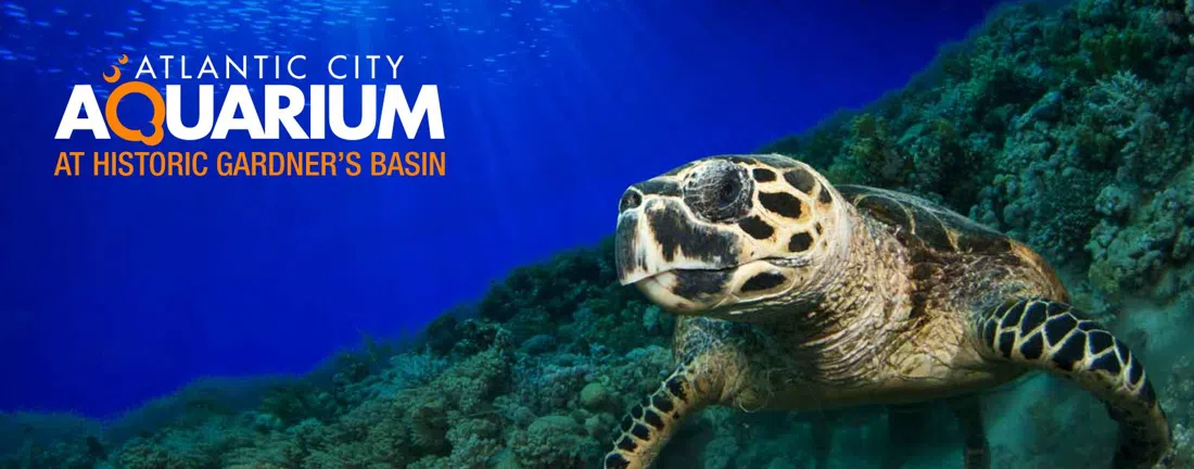 Atlantic City Aquarium at Historic Gardner's Basin, Atlantic City