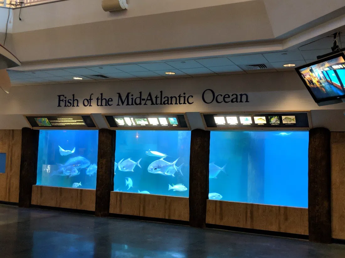 Atlantic City Aquarium at Historic Gardner's Basin, Atlantic City