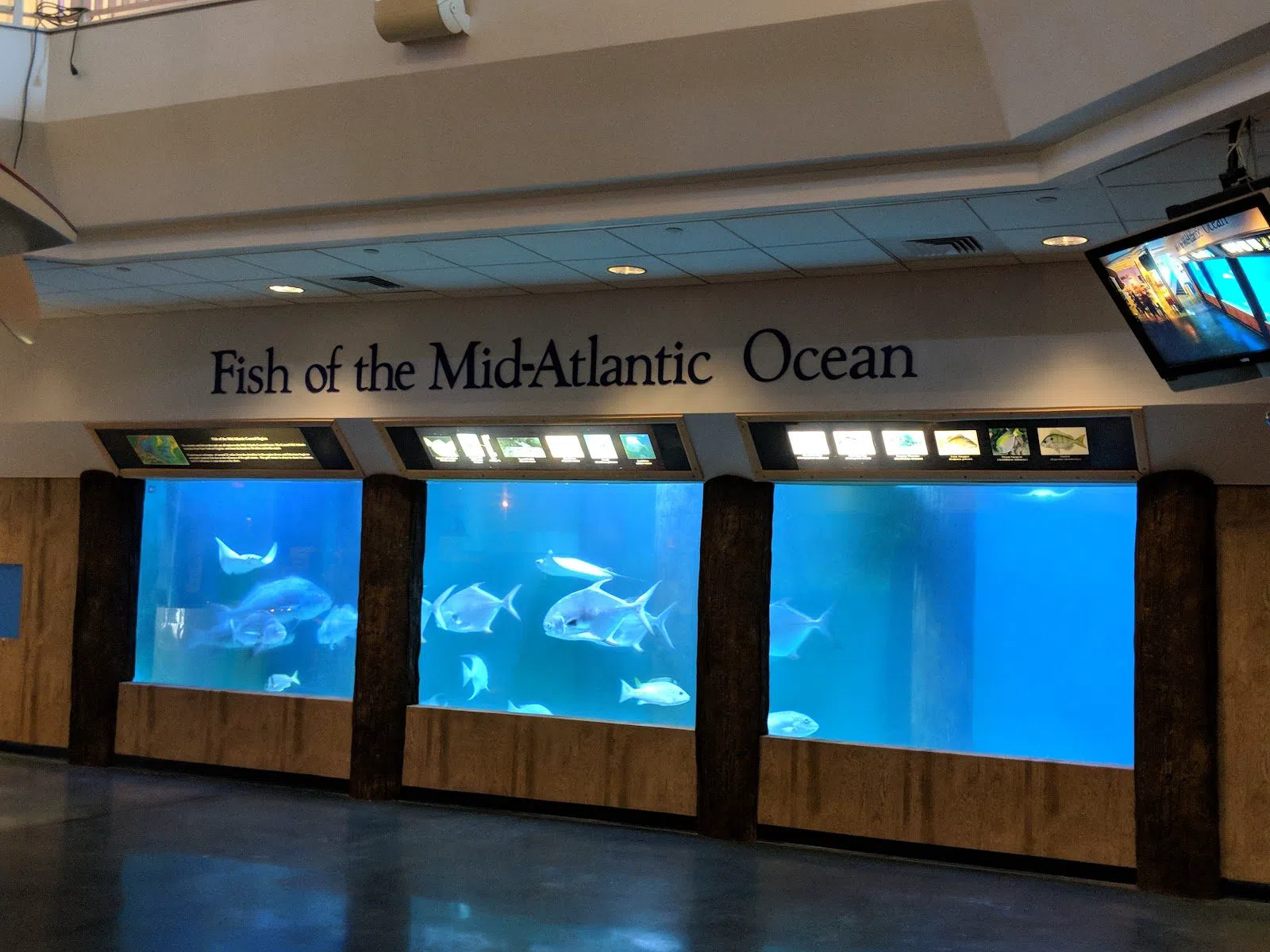 Atlantic City Aquarium, Atlantic City