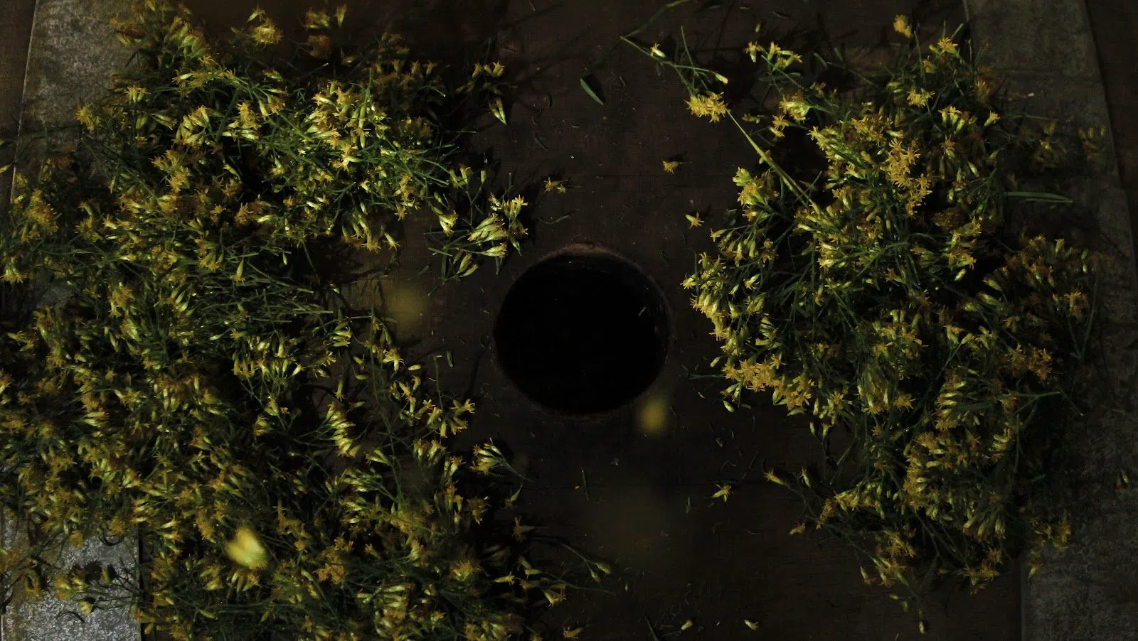 The Seed: A Living Beer Project, Atlantic City